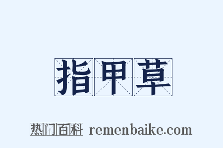 指甲草是什么意思的图片